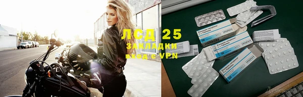 ГАЛЛЮЦИНОГЕННЫЕ ГРИБЫ Алзамай