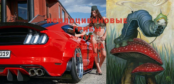 ГАЛЛЮЦИНОГЕННЫЕ ГРИБЫ Алзамай