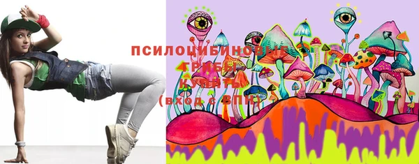 ГАЛЛЮЦИНОГЕННЫЕ ГРИБЫ Алзамай