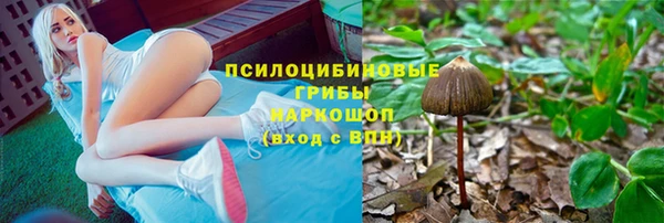 ешки Алексин