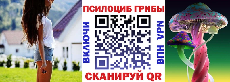 Галлюциногенные грибы мицелий  ОМГ ОМГ ONION  Боготол 